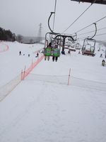 2012-01-20 11 21 00.jpg