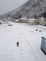 2012-01-27 7 49 42.jpg
