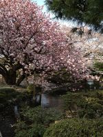 2012-04-21 16 01 55.jpg