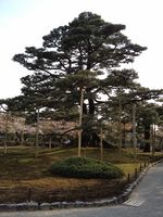 2012-04-21 16 04 01.jpg