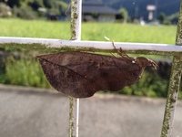 2012-09-13 8 20 23.jpg