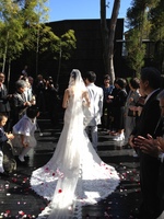 2012-11-04 10 32 53.jpg