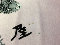 Pnk cutsew-kezome1.jpg