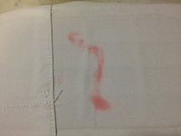 hakui-red ink1.jpg
