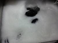 kote-MBwash2.JPG