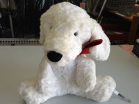 wh-dog1.jpg